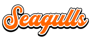 JisanSeagulls Wordmark.png