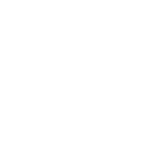 TVT news 12.svg